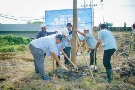 SIER tanam ratusan trembesi perkuat komitmen industri hijau