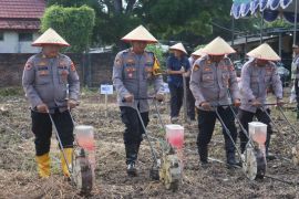 Polres Lamsel manfaatkan lahan tidur jadi areal pertanian produktif