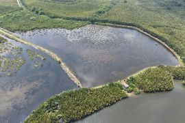 Kemenhut wujudkan desa mandiri peduli mangrove lewat perdes