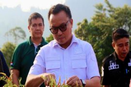 Pemkab Morut tetap konsisten terhadap sektor pertanian