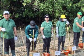 Bali sambut baik kalkulator hijau BI hitung transisi ramah lingkungan