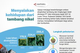 Menyalakan kehidupan dari tambang nikel