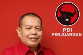 Irving Kahar Arifin pimpin DPC PDI Perjuangan Siak, siap jadi penyeimbang pemerintahan