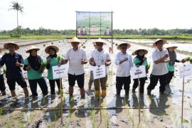 Kementan luncurkan kampung peramalan OPT di Sleman