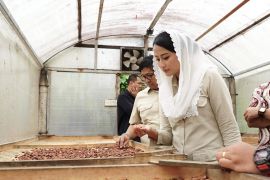 Wamendag arahkan eksportir kakao Bali manfaatkan kerja sama pemerintah