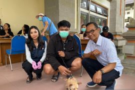 Pemkab Badung sterilisasi dan vaksinasi gratis hewan penular rabies