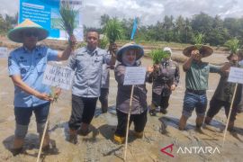 Kemenko Pangan dorong Kolaka optimalkan potensi pertanian dukung swasembada