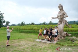 Pesona Desa Wisata Jatiluwih sebagai destinasi berkelanjutan terbaik dunia