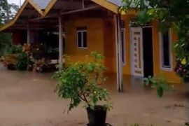 Empat kecamatan di Aceh Timur terendam banjir, warga mulai mengungsi