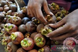 Purwakarta wujudkan pembangunan ekonomi hijau dan berkelanjutan