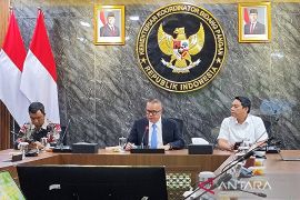 Satgas menghentikan PT Luckione setelah impor barang tercemar Cs-137