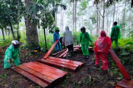 Aparat sita kayu olahan di Cagar Alam Maninjau
