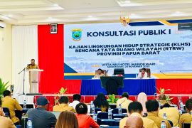 Pemprov Papua Barat integrasikan aspek lingkungan pada RTRW 2025--2045
