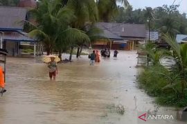 Banjir rendam 183 hektare lahan pertanian di Padang Pariaman Sumbar