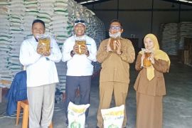 Bulog Batam salurkan 25% bantuan pangan beras dan minyak
