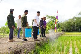 Gubernur Lampung ajak peternak dan petani untuk hasilkan pakan mandiri