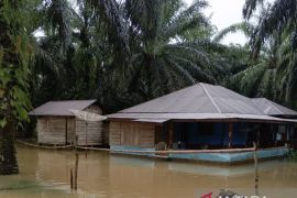 Banjir Tapanuli Selatan meluas seratusan rumah terendam