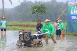 Pemkab Pasaman luncurkan program layanan bajak gratis bagi petani