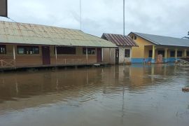 Sebanyak 2.591 jiwa terdampak banjir di Aceh Singkil