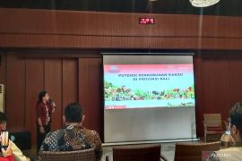 Pemprov Bali ajukan peremajaan tanaman kakao