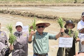 PT Vale dorong transformasi pertanian dukung ketahanan pangan nasional