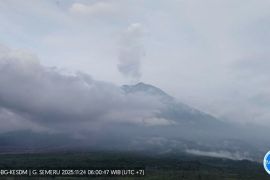 Gunung Semeru hari ini hembuskan asap putih setinggi 1.000 meter dari puncak