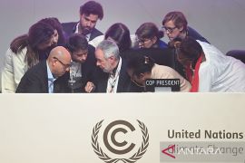 COP30, Indonesia belum sejalan data terpilah Belm Gender Action Plan