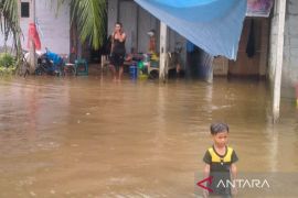BPBD: Sebanyak 3.698 rumah di Aceh Timur terendam banjir