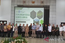 Kementan hilirisasi lada putih Bangka Belitung