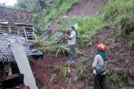 Seorang warga tertimbun longsor di Situbondo berhasil diselamatkan