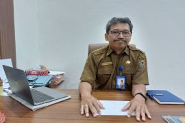 Pemprov Kalsel percepat usulan PPPK paruh waktu