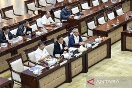 DJP: 79 ribu Kopdes Merah Putih telah terdaftar di Coretax