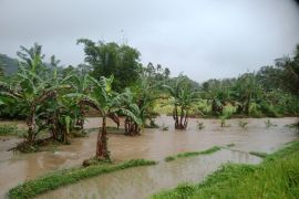 Tiga nagari di Tanah Datar terdampak bencana akibat hujan deras dan angin kencang