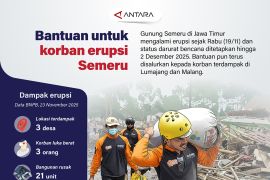 Bantuan untuk korban erupsi Semeru