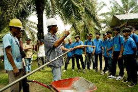 PTPN IV dukung peningkatan kompetensi calon PMI lewat pelatihan sawit