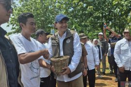 Kemenhut dorong kerja sama internasional guna rehabilitasi hutan