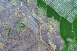 Sebanyak 232 rumah dan 105,55 hektare lahan pertanian terdampak erupsi Gunung Semeru di Lumajang