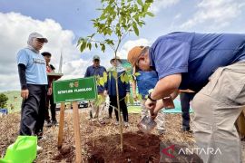 Kemenhut tanam 1,3 juta bibit pohon lewat skema rehab hingga November