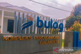 Bulog serap 39 ribu ton GKP petani di Kolaka hingga November 2025