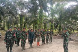 Kemenhut perketat keamanan rumah gajah Domang di TN Tesso Nilo