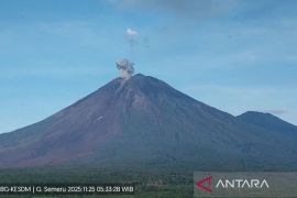 Gunung Semeru delapan kali erupsi dengan tinggi letusan hingga 1 kilometer