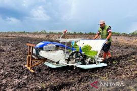 IPB: Agronomi pendayagunaan lahan cetak sawah tingkatkan produktivitas