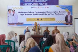 Dinas Perindustrian NTB tingkatkan keterampilan SDM petani tembakau