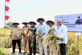 Kemenag dorong Wakaf produktif pertanian sebagai motor kemandirian pangan nasional