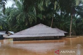 SHI soroti kerusakan ekologis Batang Toru dan peringatkan bencana lebih besar