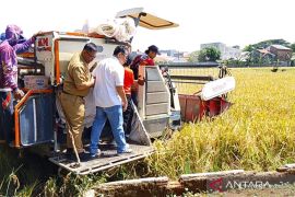 Sudin Tamhut revitalisasi Taman Ahmad Yani di Jaktim