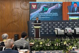 RI pushes nature-based solutions in forestry sector, dy minister says