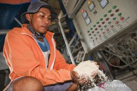 Alarm ketahanan pangan! Konsumsi beras di NTB tembus 103 kg per kapita