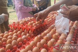 Babel kumpulkan distributor guna cegah kenaikan harga sembako akhir tahun