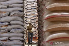 Dirut Bulog tegaskan stok beras aman tak perlu impor